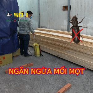 NGĂN NGỪA MỐI MỌT CHO GỖ