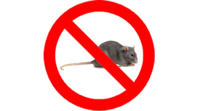 dịch vụ diệt chuột da nen img
