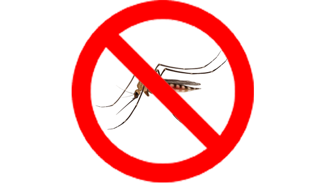 dịch vụ diệt muỗi da nen r