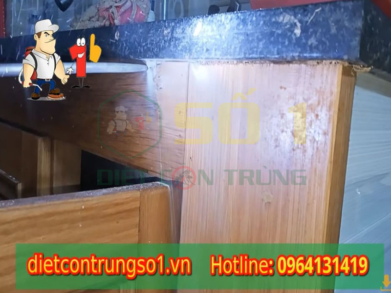 Diệt Mối Tại Quận 1 Nhanh Chóng, Giá Rẻ, Uy Tín Nhất TPHCM 21 Thuốc diệt mối nào hiệu quả nhất hiện nay