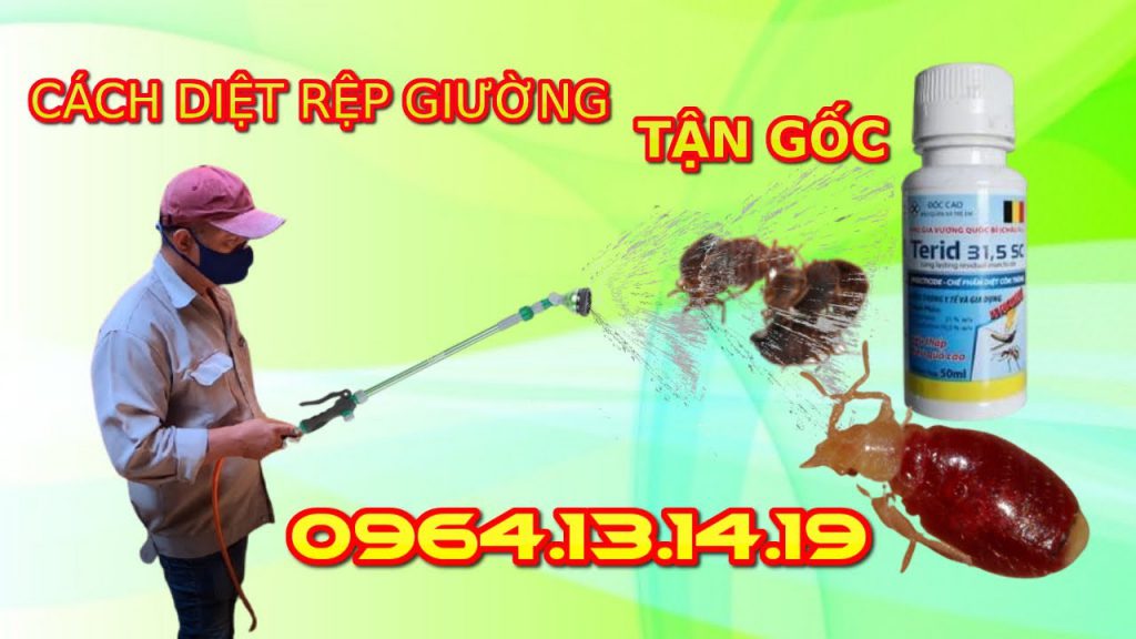 Thuốc Diệt Rệp Tired 31.5 SC - thuốc diệt rệp giường 5 Thuốc diệt rệp tired 31.5 SC