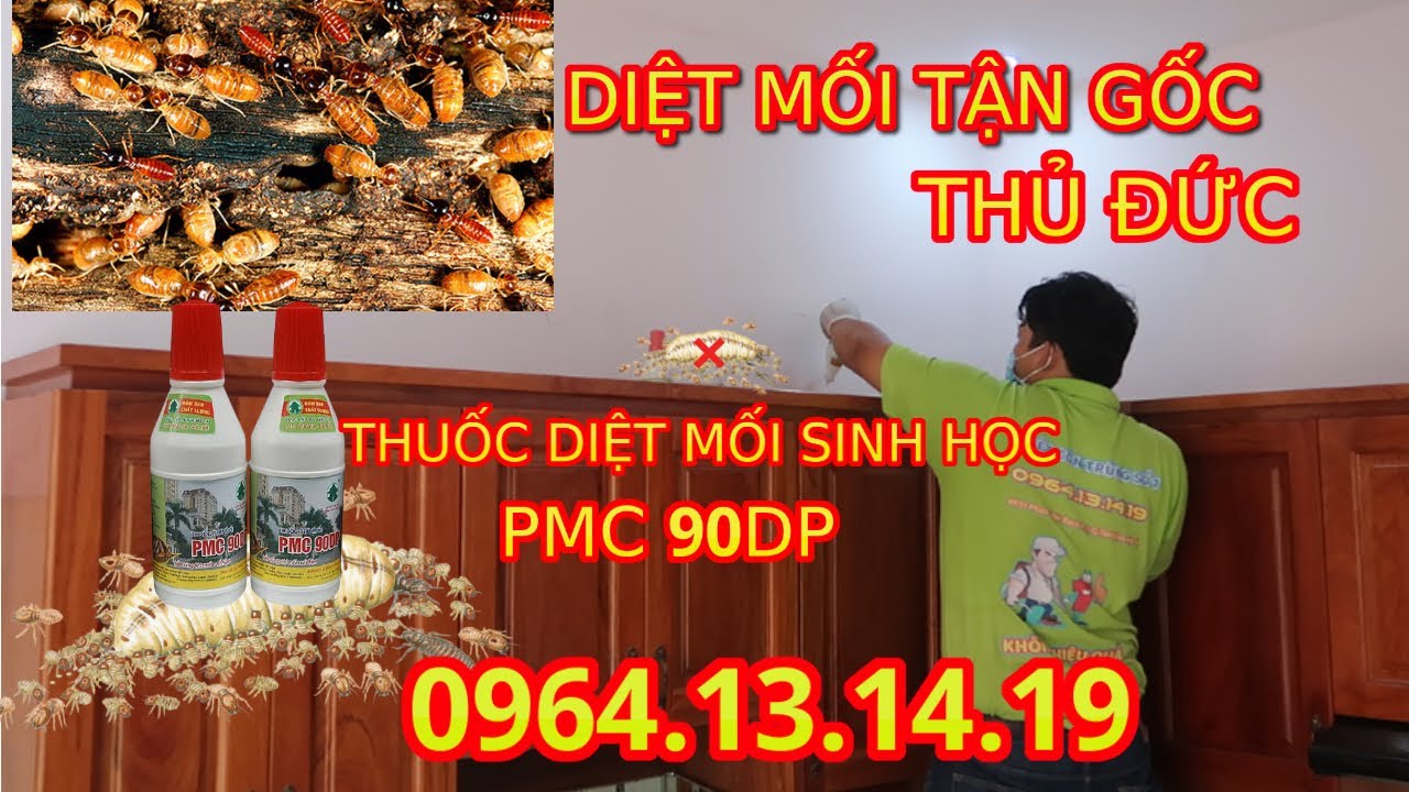 Cong-ty-diet-moi-tphcm