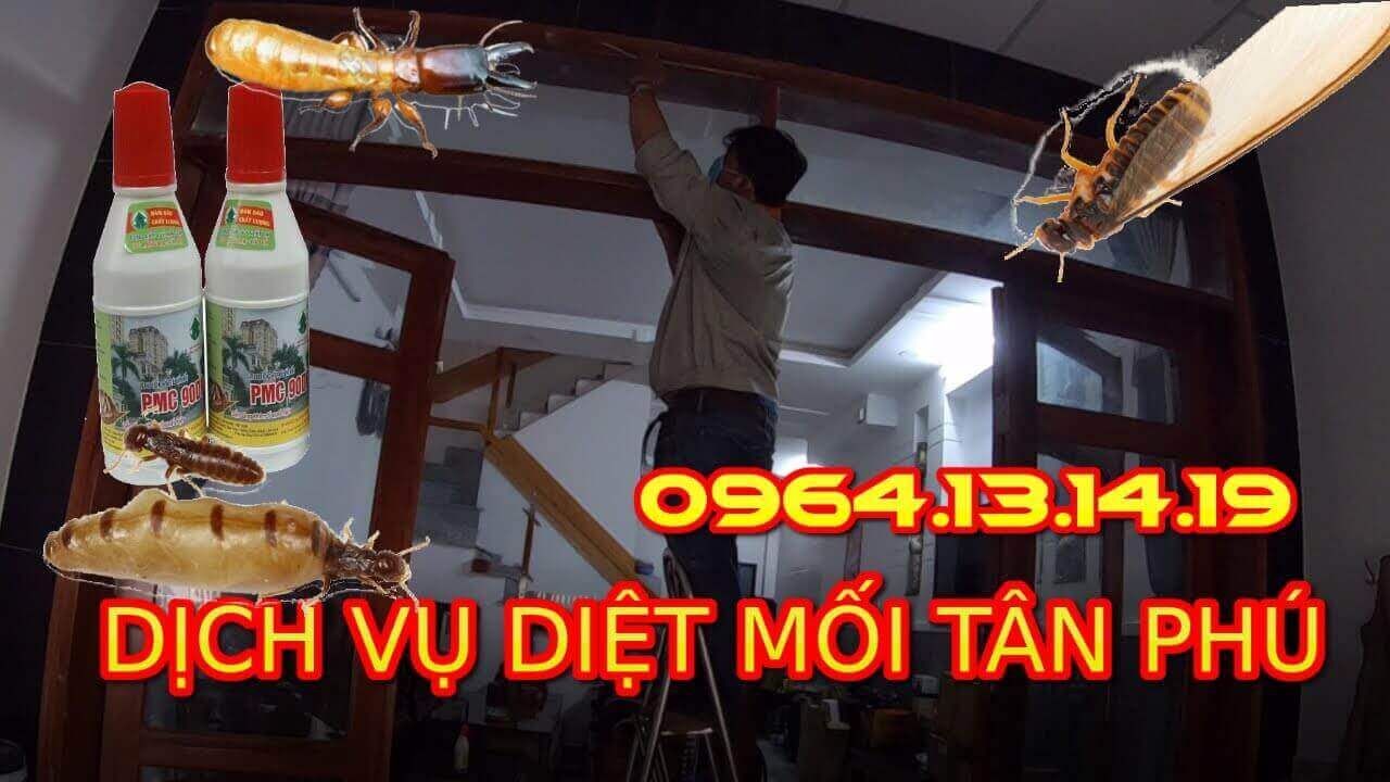 Cong-ty-diet-moi-tphcm