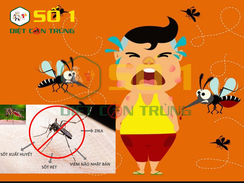 Muỗi gây ra tác hại như thế nào đối với con người