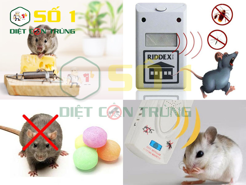 Tránh nguy hiểm vì diệt chuột không đúng cách