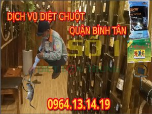 Diệt Chuột Quận Bình Tân