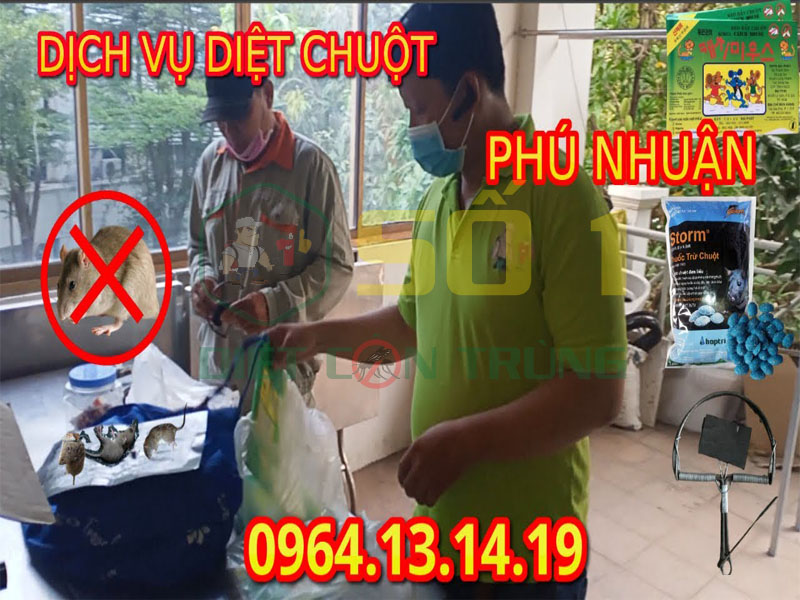 Diệt Chuột Quận Phú Nhuận