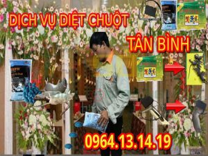 Diệt Chuột Quận Tân Bình
