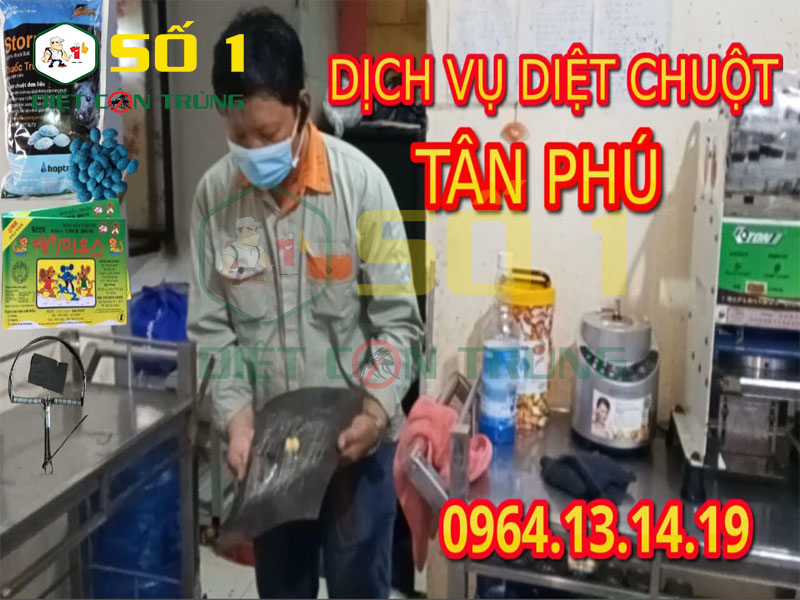Phương pháp Diệt chuột quận Tân Phú tại nhà chất lượng