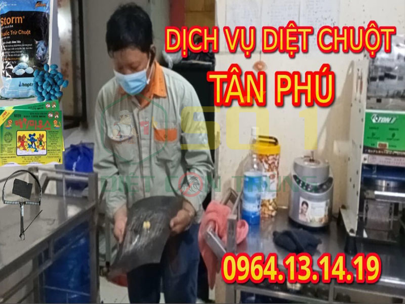 Diệt Chuột Quận Tân Phú