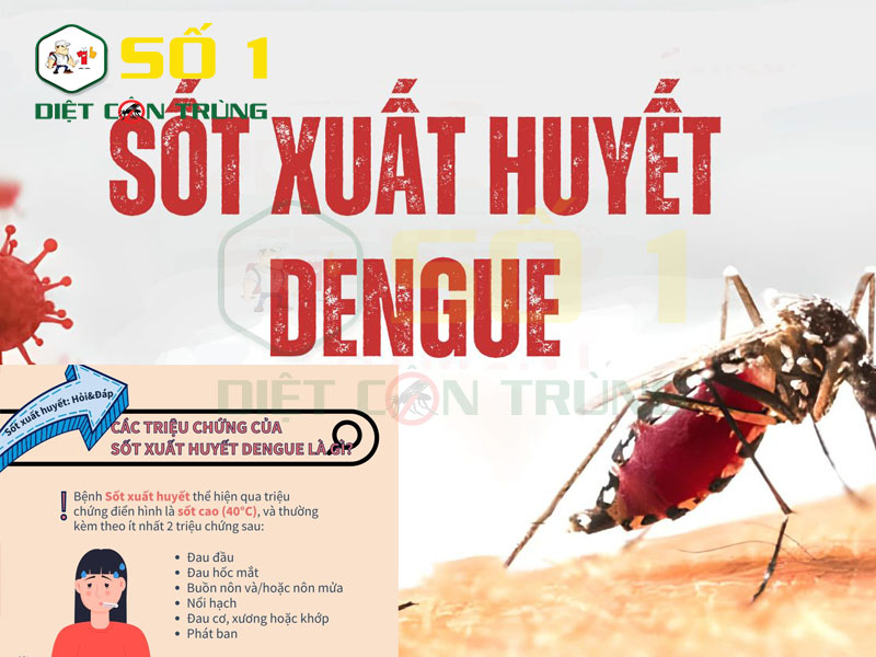 Viêm khớp dengue