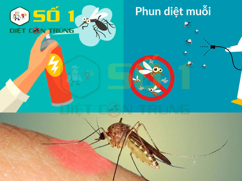 Hướng dẫn sử dụng thuốc diệt muỗi
