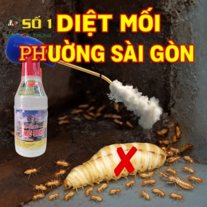 diệt mối phường sài gòn