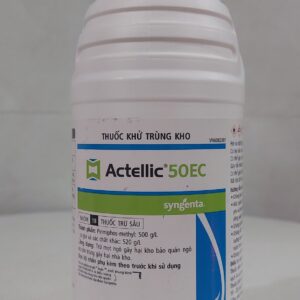 z5701049031356 61728229ffff429aa07360e99779d2c9